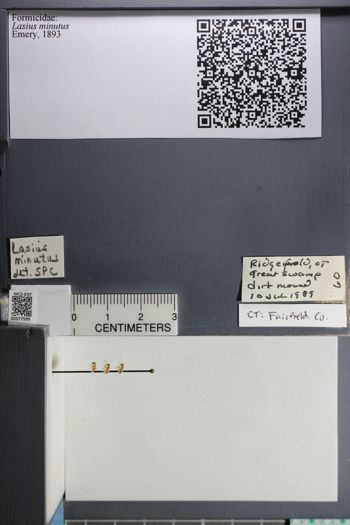 Media type: image;   Entomology 577599